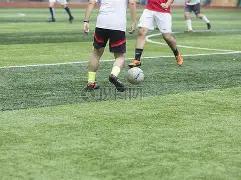 莱万与拉斯,帕尔马斯再,战未破进球,金年会体育,在线体育博彩,实时投注,体育赛事,高赔率平台