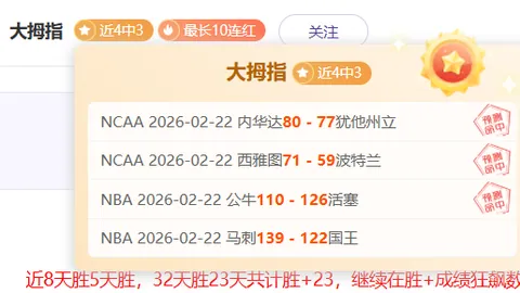 德甲：西布精准射门，李在成巧妙抢点得分