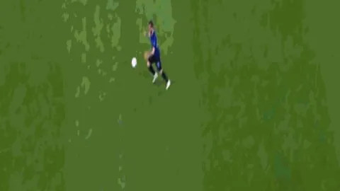 杜维崧与叶品秀连续多年荣获最佳残障男女运动员称号